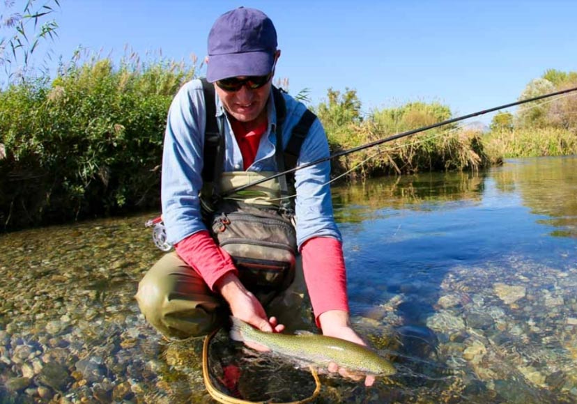 Fisherman collecting catch in river.